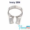 Ivory Clamp (Kulzer) - 28n-ivory