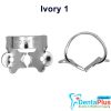 Ivory Clamp (Kulzer) - 1-regular-bicuspid