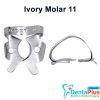 Ivory Clamp (Kulzer) - 11-regular-molar