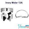 Ivory Clamp (Kulzer) - 13a-regular-molar