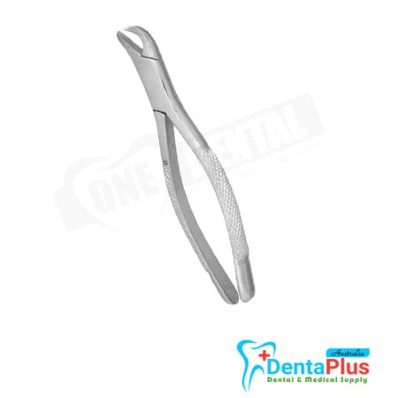 Lower Molars - Each