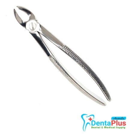 Upper Molar Right - Each